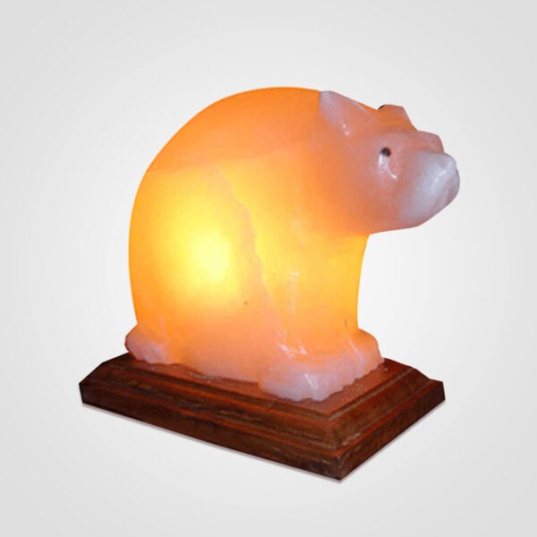 Himalayan-Bear-Shape-Salt-Lamp