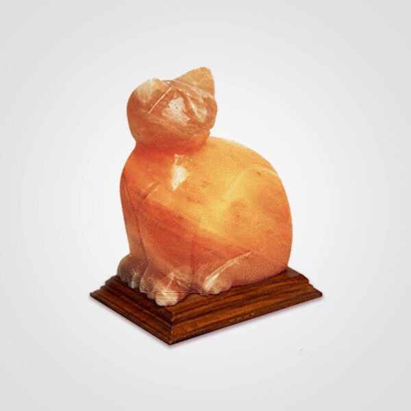 Himalayan-Cat-Shape-Salt-Lamp