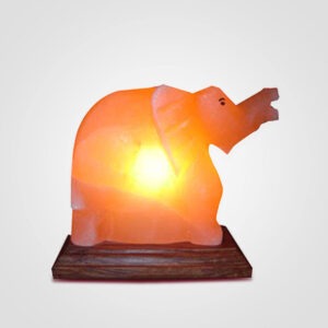 Himalayan-Elephant-Shape-Salt-Lamp