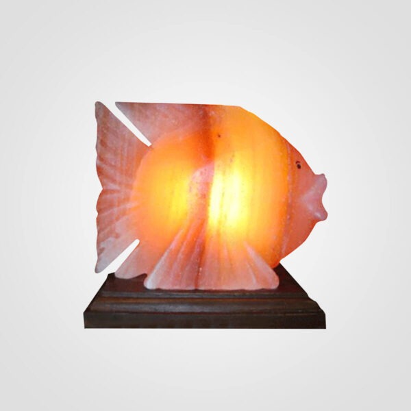 Himalayan-Fish-Shape-Salt-Lamp