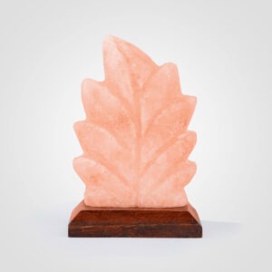 Himalayan-Leaf-Shape-Salt-Lamp