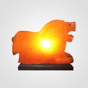 Himalayan-Lion-Shape-Salt-Lamp