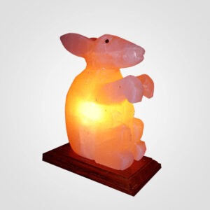 Himalayan-Rabbit-Shape-Salt-Lamp