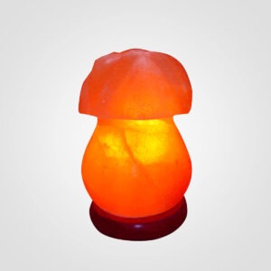 Himalayan-Sunflower-Shape-Salt-Lamp