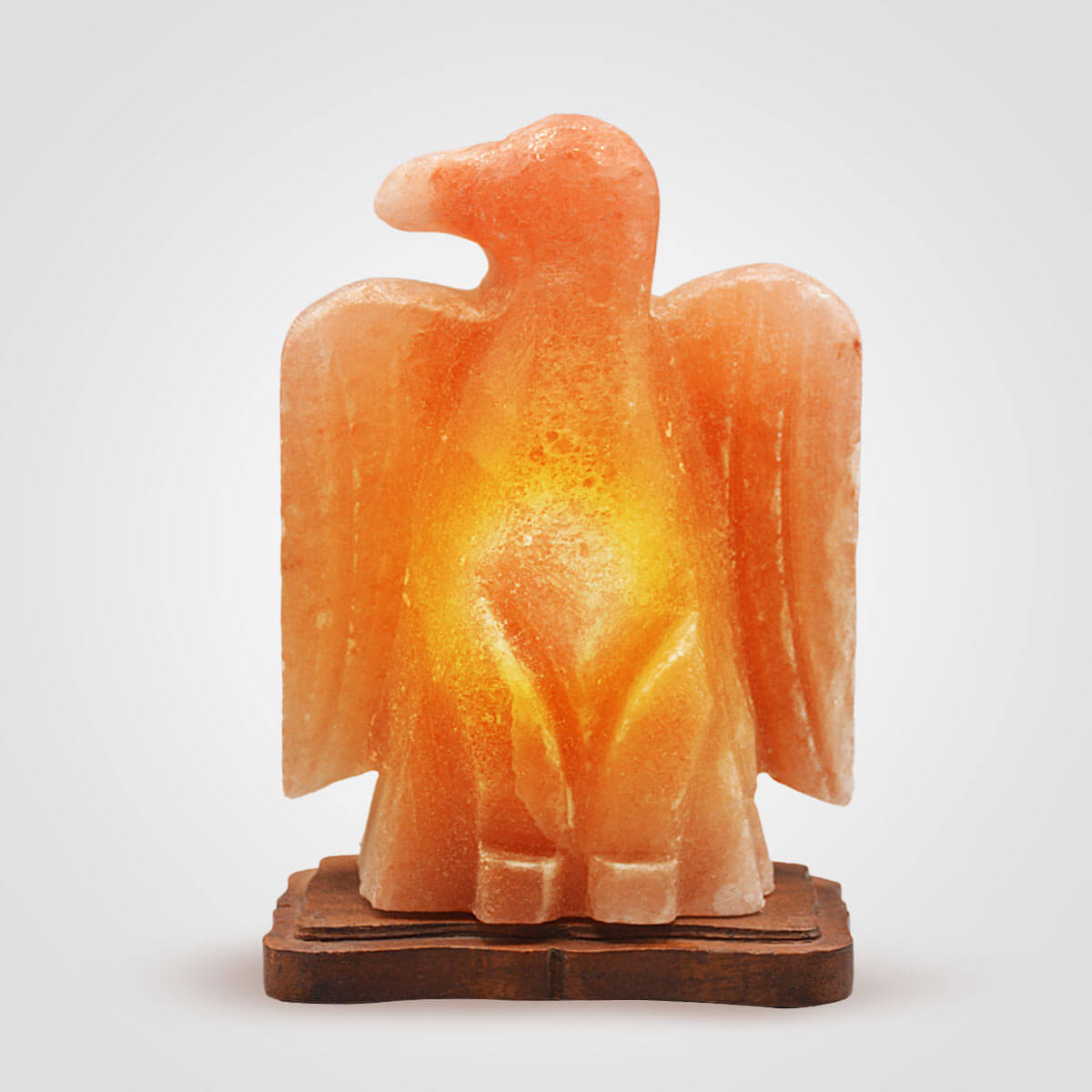 Animal Shape Salt Lamps