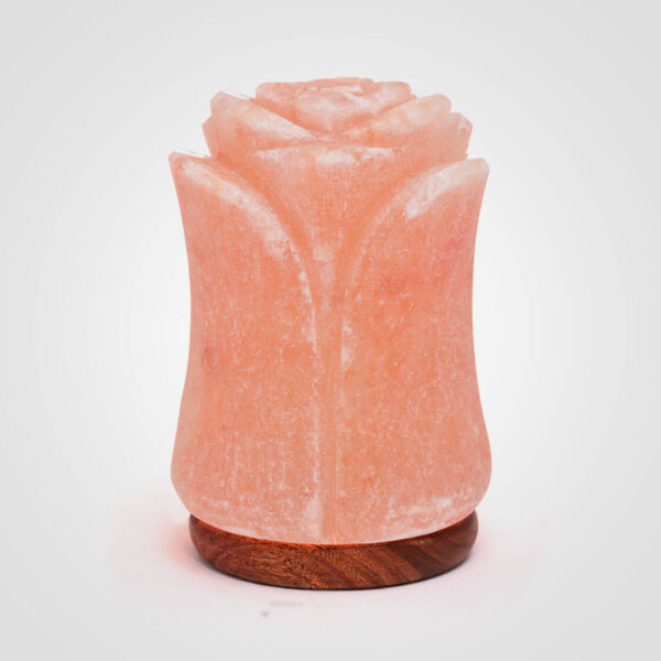 Salt Lamp Rose